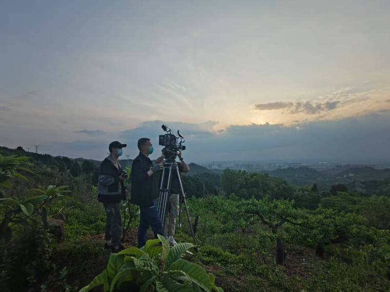 创意破圈！富川电商产品宣传视频用故事化叙事引爆流量