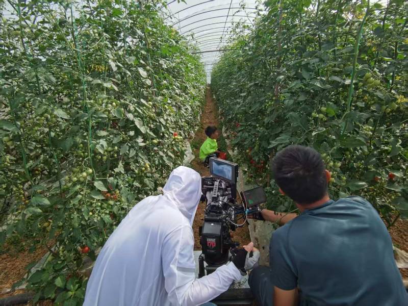 富川产品宣传视频拍摄公司进阶指南，助力品牌抢占传播高地